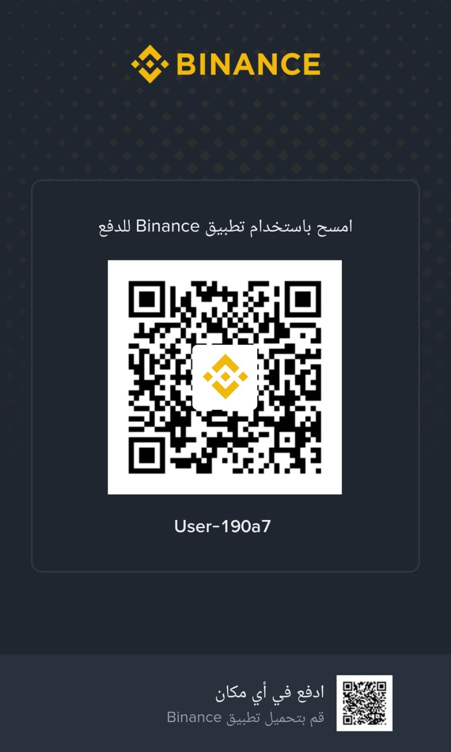 Binance Pay QR code for User-190a7